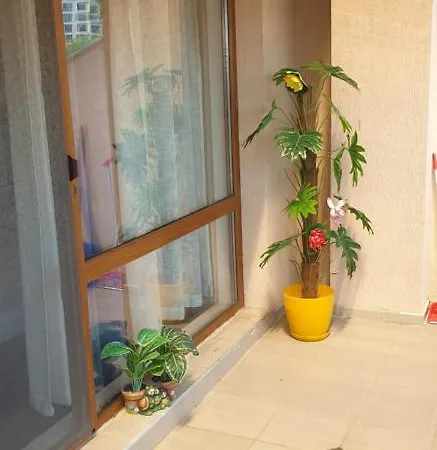 Sun Estate Apartment