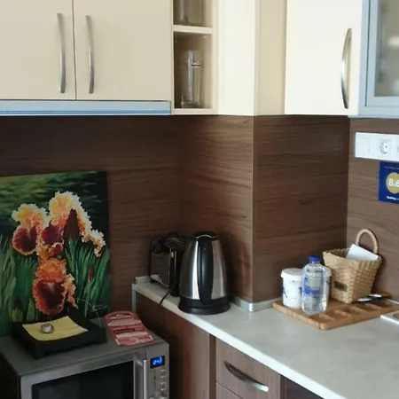 Sun Estate Apartment